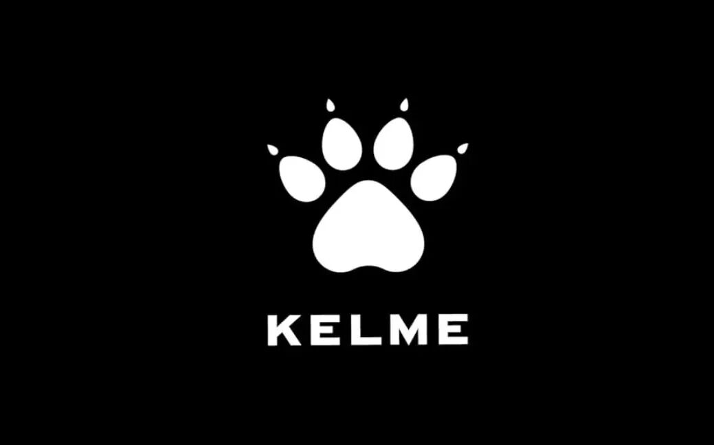 反向收购欧洲品牌，靠亚马逊年增50%，年销数千万