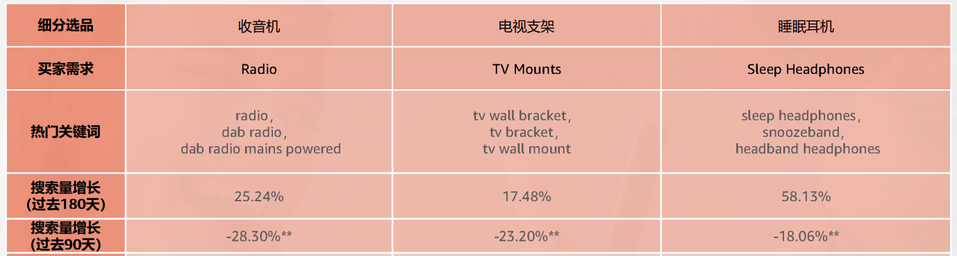 2024亚马逊欧洲市场热门产品解析
