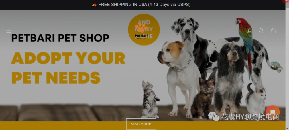 有效发掘Niche为何能让个人小团队轻松实现月入万刀-跨境独立站数字营销思维拓展