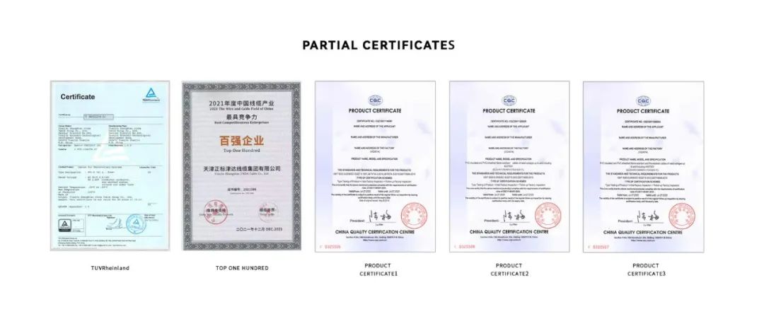 Shoptop客户案例-津达线缆的出海品牌化升级之道