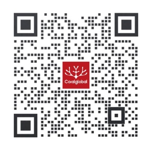 深度解讀：1390億美元的東南亞電商市場，真正的機遇在哪？