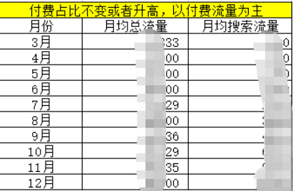 独立站初期如何制定流量增长规划