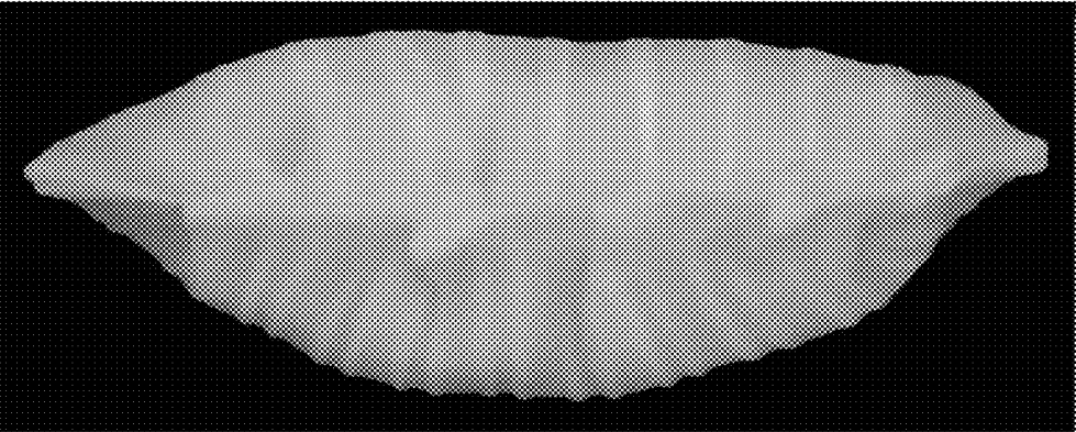 保卫饺子！韩国申请饺子专利，跨境卖家真正该警惕的是什么？