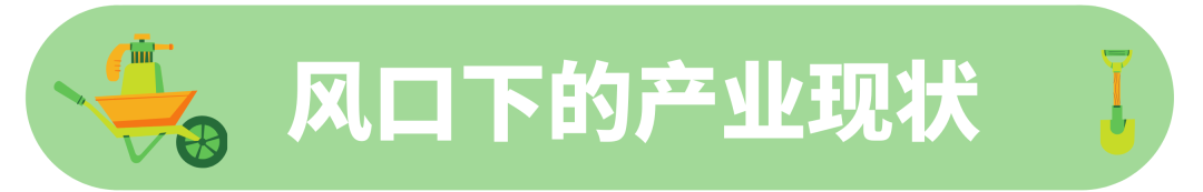 庭院改造爆席海外，品类一举登顶亚马逊！$千亿级黄金赛道浮现新商机