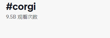 都是“铲屎官”，凭啥人家能卖到断货？4634亿观看，深度拆解TK宠物号的变现全过程