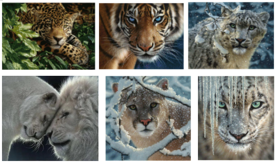 匿名案件曝光！已有460家店铺被起诉，这些词汇和图案不能用！