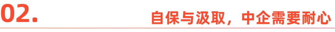 越南，成不了中国跨境商家的退路