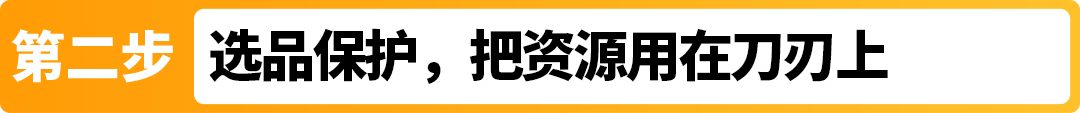 亚马逊旺季备战：提前3个月启动品牌保护，稳接流量不丢单！