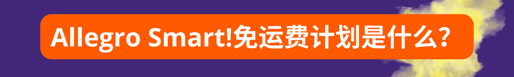 从中国发货的卖家参加Allegro Smart!计划的步骤指南 —— 马上就参加计划！