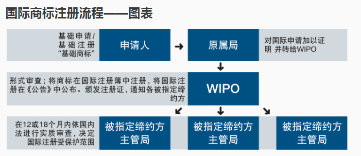 马德里商标申请全面实现电子化,平均审查周期缩短至2个月!