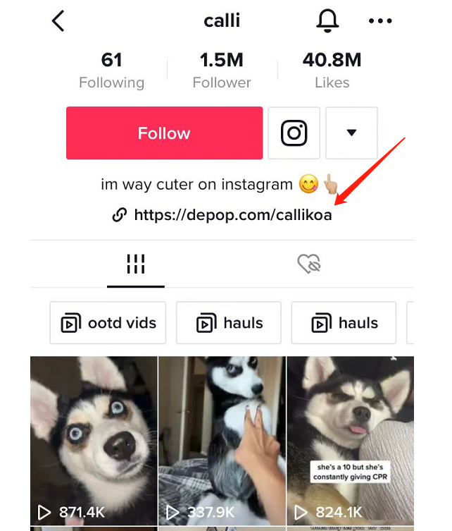 unlocked!  TikTok's pet account turns into a century-old problem