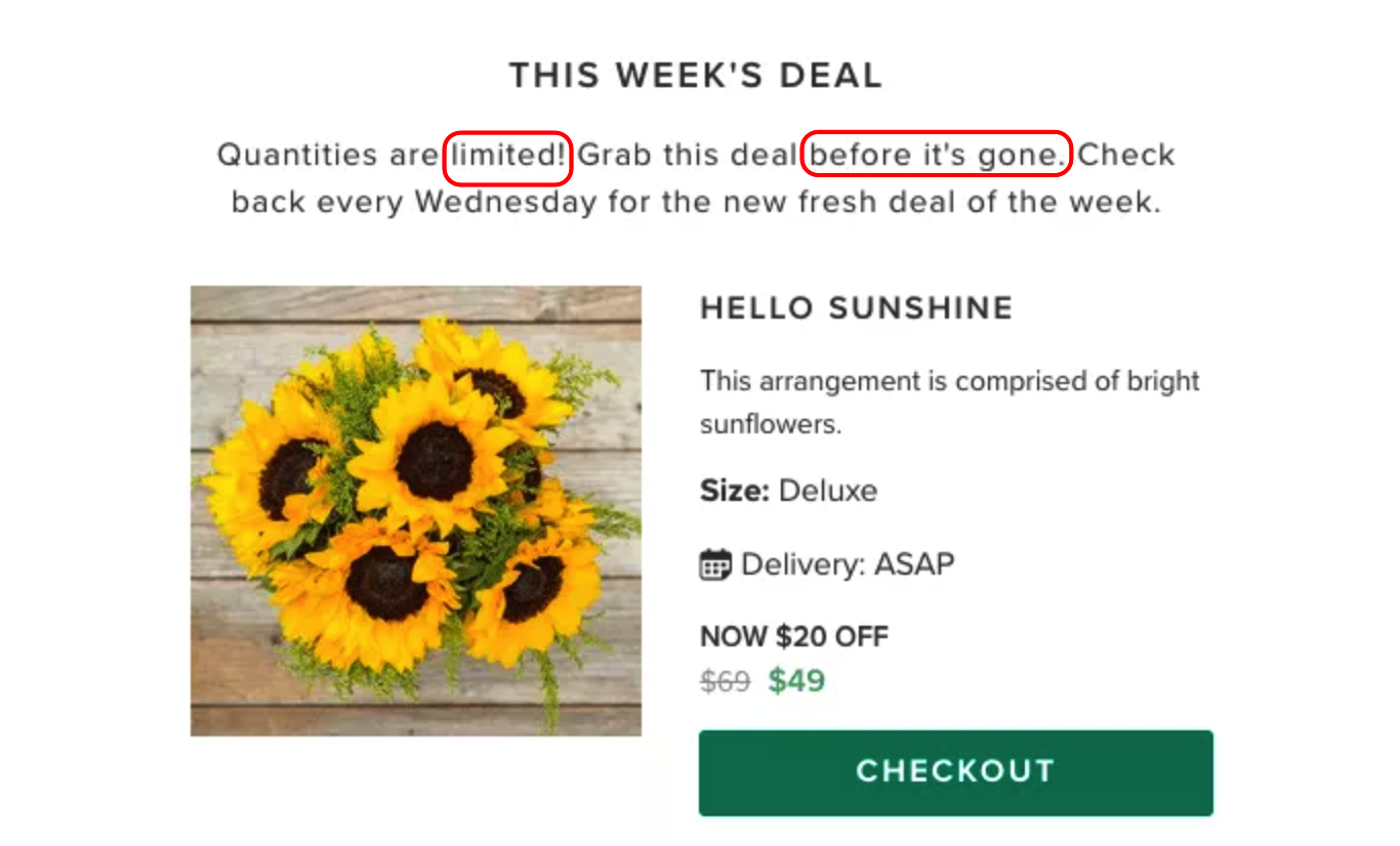 跨境电商文案优化技巧：年赚500万的Shopify卖家可复制的成功经验