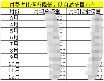 独立站初期如何制定流量增长规划