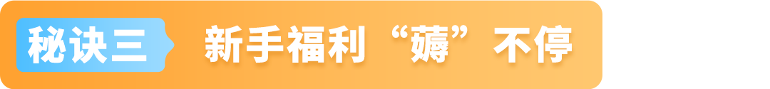 亚马逊物流新策略！大件园林商品如何利用FBA实现高效配送