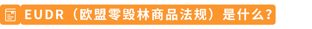 2026年底大限!亚马逊欧洲7类商品须过零毁林关