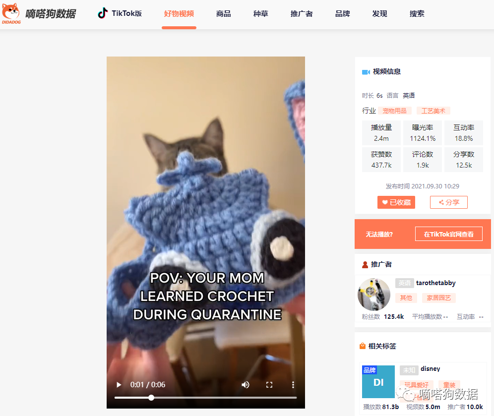 产品火爆到让商家停业赶订单！TikTok爆款“针织宠物帽”征服老外铲屎官