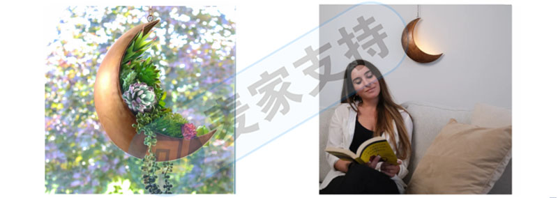 跨境侵权预警——悬挂式月亮形状花盆好看但侵权