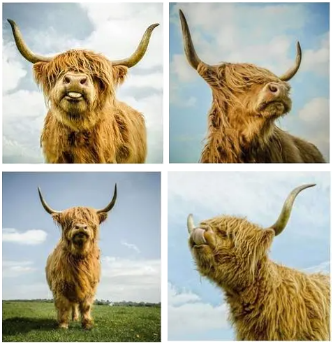 立即下架！44张热门图片起诉侵权，波及家居、服饰等产品！