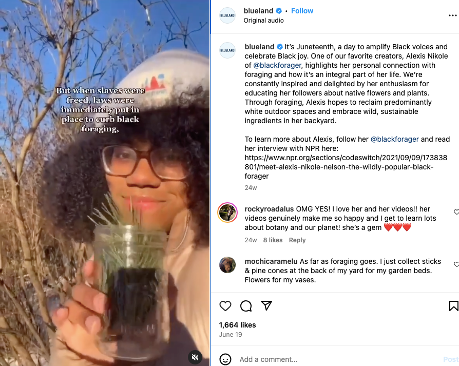 不到5年会员过100万！韩裔宝妈创立的Blueland是如何“卷”出来的？