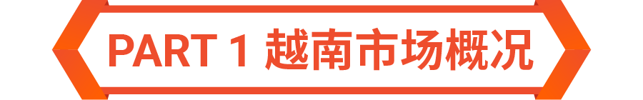 越南电商市场高速增长! 揭秘出海商机及促销选品技巧
