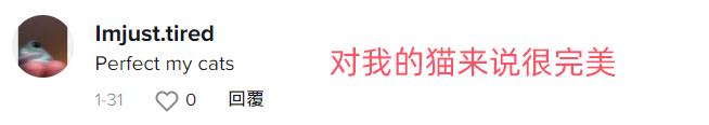 “儿童磁力锁”TikTok播放量近4000万，热度持续飙升