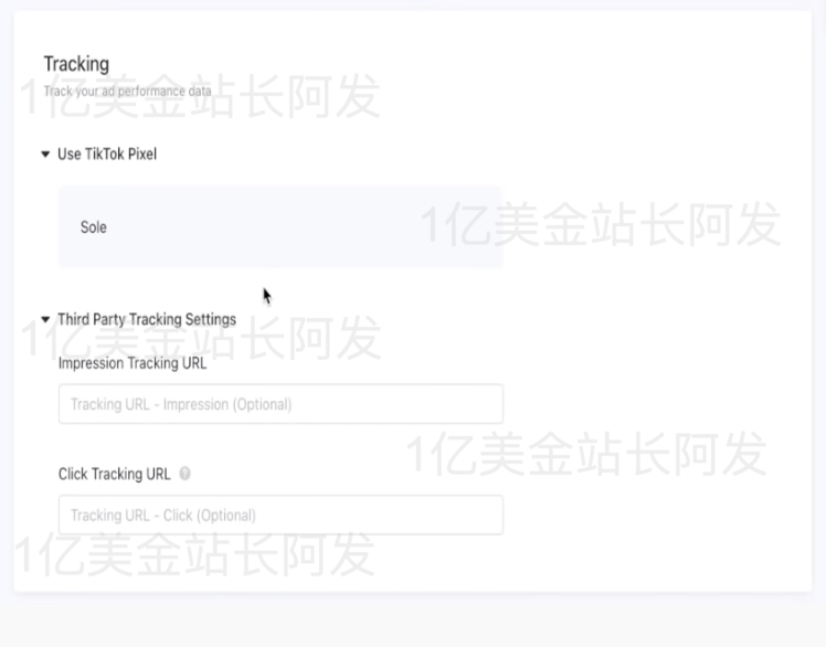 【9】史上最强独立站入门教程-TikTok广告入门