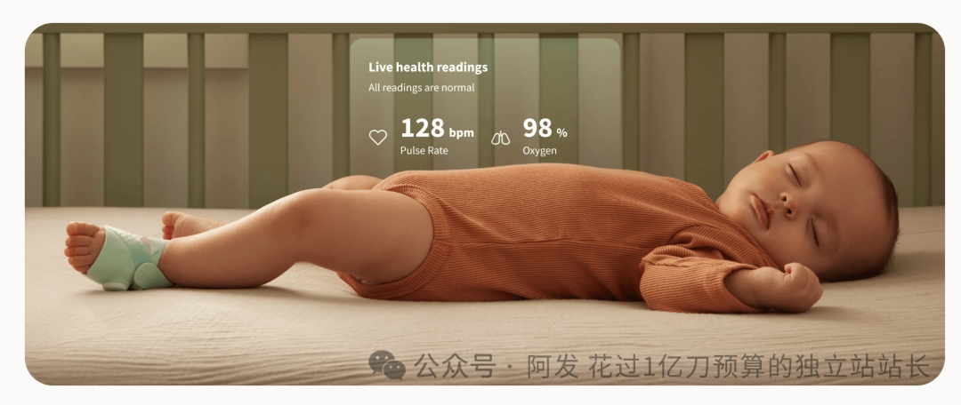 11个最会赚钱的独立站