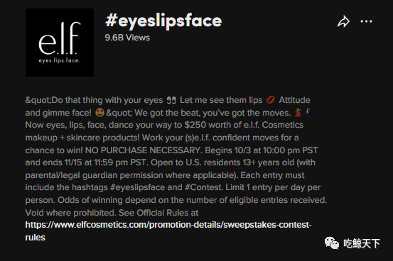 播放量破亿，e.l.f如何玩转TikTok占领美妆营销新阵地？