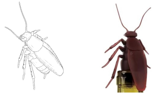 美国监管下狠手！11900件亚马逊热销品被紧急召回，同类产品恐随时暴雷！