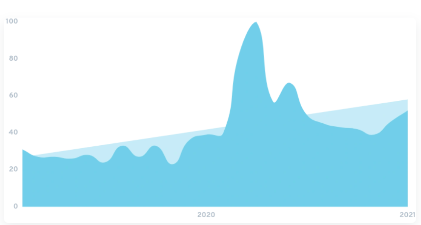 热销品类报告：未来五年，这几类宠物用品将迎来大爆发