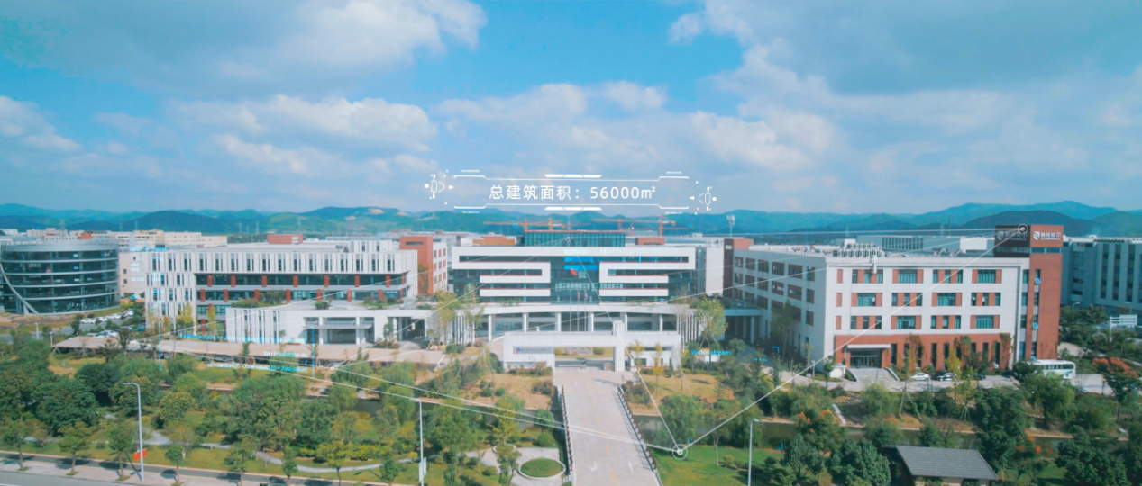 烟雾警报器霸主亚马逊北美站前三，大促销量激增200%！
