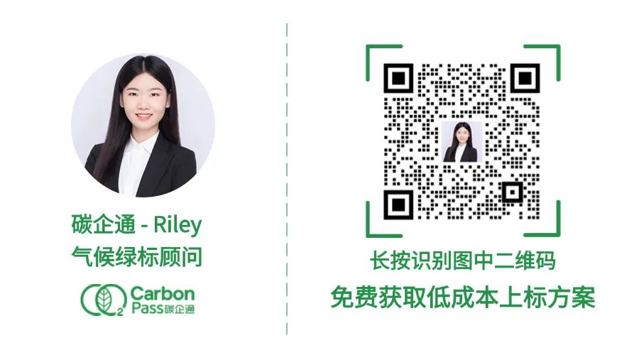 揭秘亚马逊销量暴涨背后的真相！卖家如何实现大逆袭