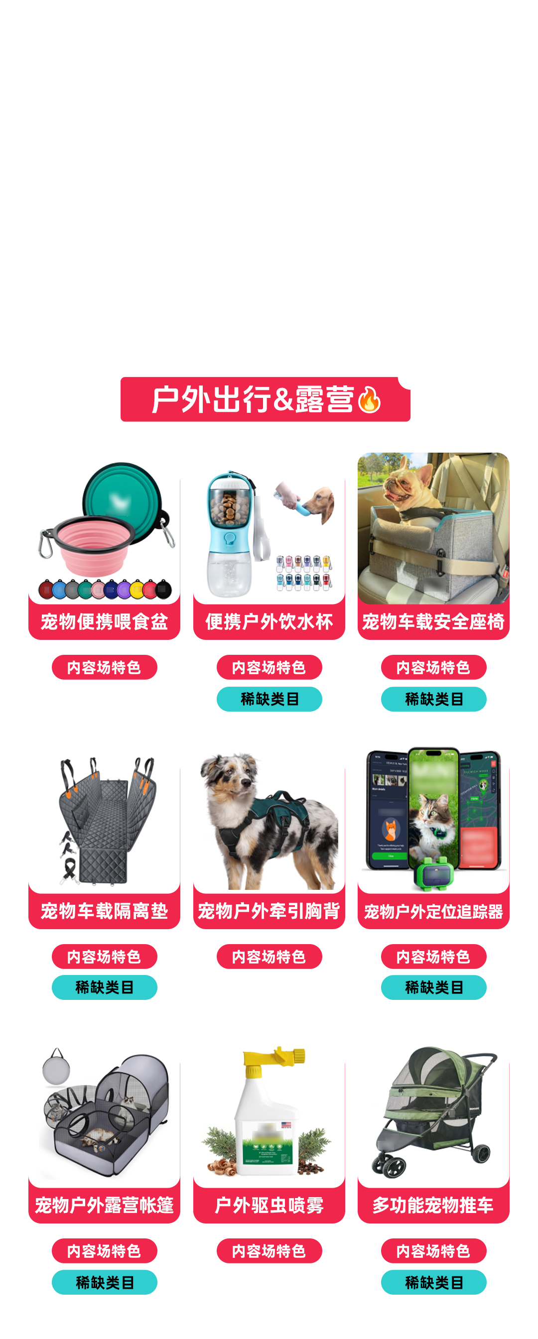 聚焦夏促增长方向，TikTok Shop美区宠物类目重点商家闭门会圆满落幕