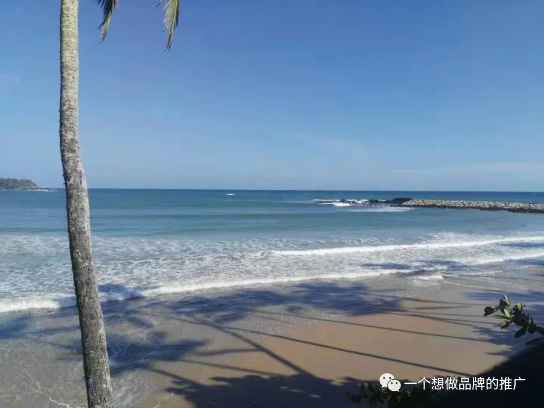 五一碎碎念-我的职业规划