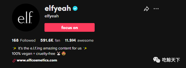 播放量破亿，e.l.f如何玩转TikTok占领美妆营销新阵地？