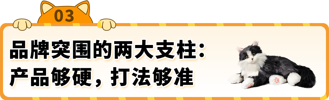 清华学霸押注亚马逊!高客单价毛绒玩具,年销暴涨 200%