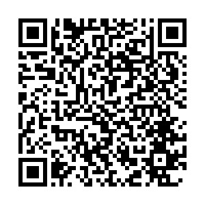 8年設(shè)計(jì)師轉(zhuǎn)型獨(dú)立站出海，寵物用品新品牌從0到1如何冷啟動(dòng)？