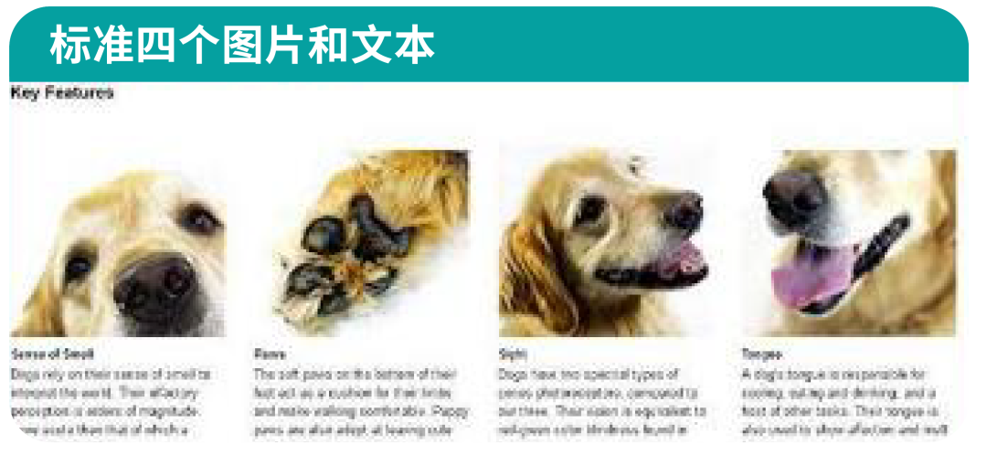 没摸清竞品情况？别急着为ASIN开启广告！