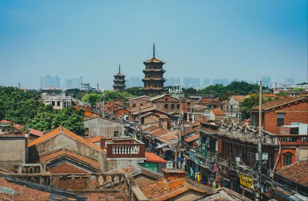 工艺品公司立美德亚马逊创佳绩,爆款“小乌龟”热销超百万件