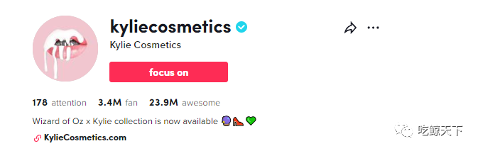 坐拥TikTok300万粉丝，美妆品牌Kylie Cosmetics如何营销疯狂吸金？