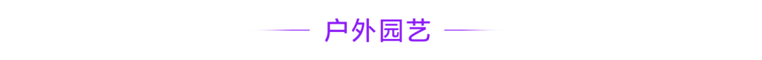 320亿家居新赛道开启,这才是2026年东南亚真正的“印钞机”!