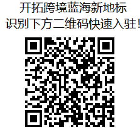 2022已到站,换乘2023航班,Payoneer派安盈橄榄枝计划专属头等舱VIP通道带你起飞!