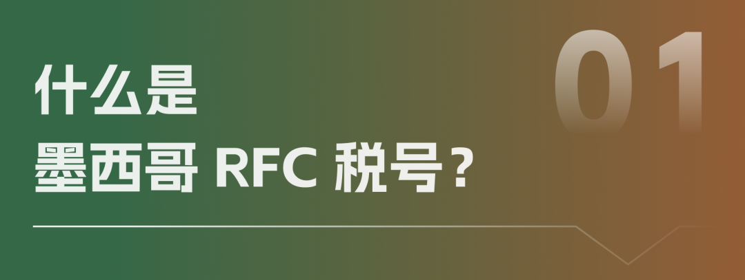 搞定 RFC 缴税！万里汇墨西哥VAT功能全新升级！