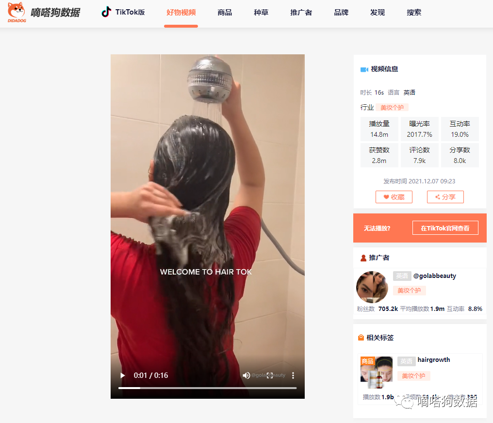 亚马逊搜索飙升,TikTok爆款“迷迭香生发油”成为老外植物护理“新欢”