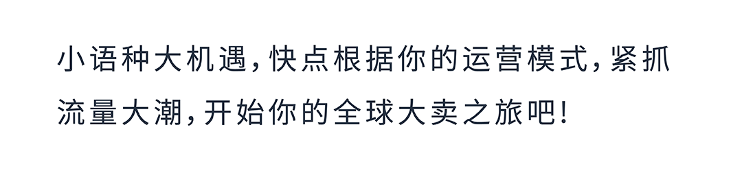 成本低高回报？亚马逊小语种站点起量秘籍效果意想不到！