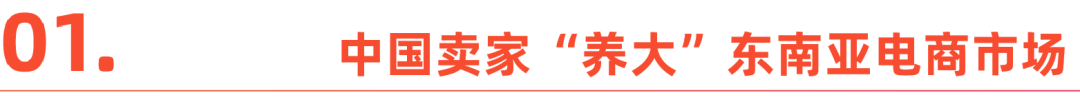 从深圳出发，成为东南亚头部卖家