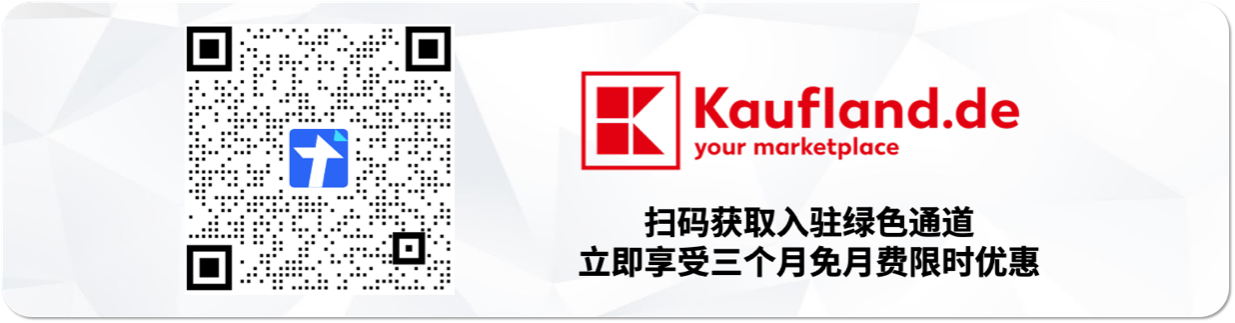 Kaufland.de德国电商平台选品策略，热卖榜单实用指南