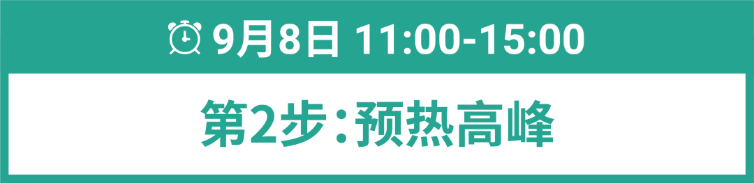 9.9冲刺! 卖家24小时作战细则, 5大东南亚消费画像助攻, 附10.10选品