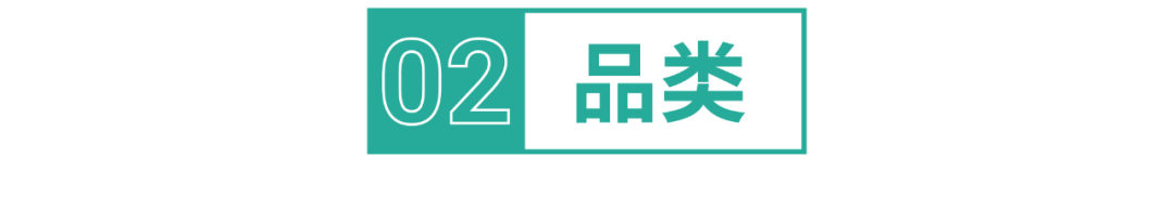 当24岁“特殊”少年遇上爆单, 包包卖家单枪匹马日出超7,000单