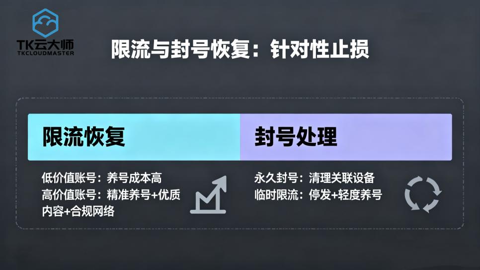 TikTok矩阵运营避坑指南：从环境风控到养号恢复-TK云大师全流程解决方案